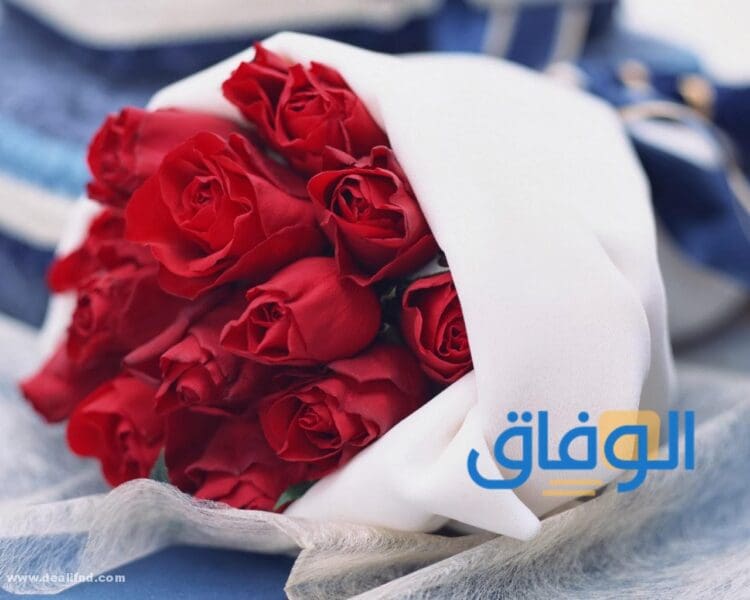 اشكال باقات ورد اشكال باقات ورد